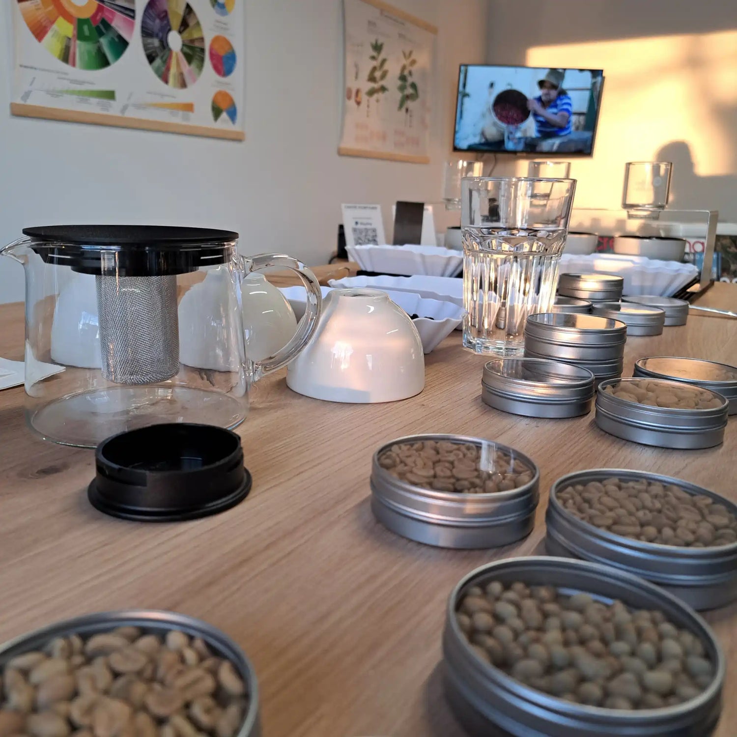 Barista Sense Kurs Basic - Sensorik Workshop