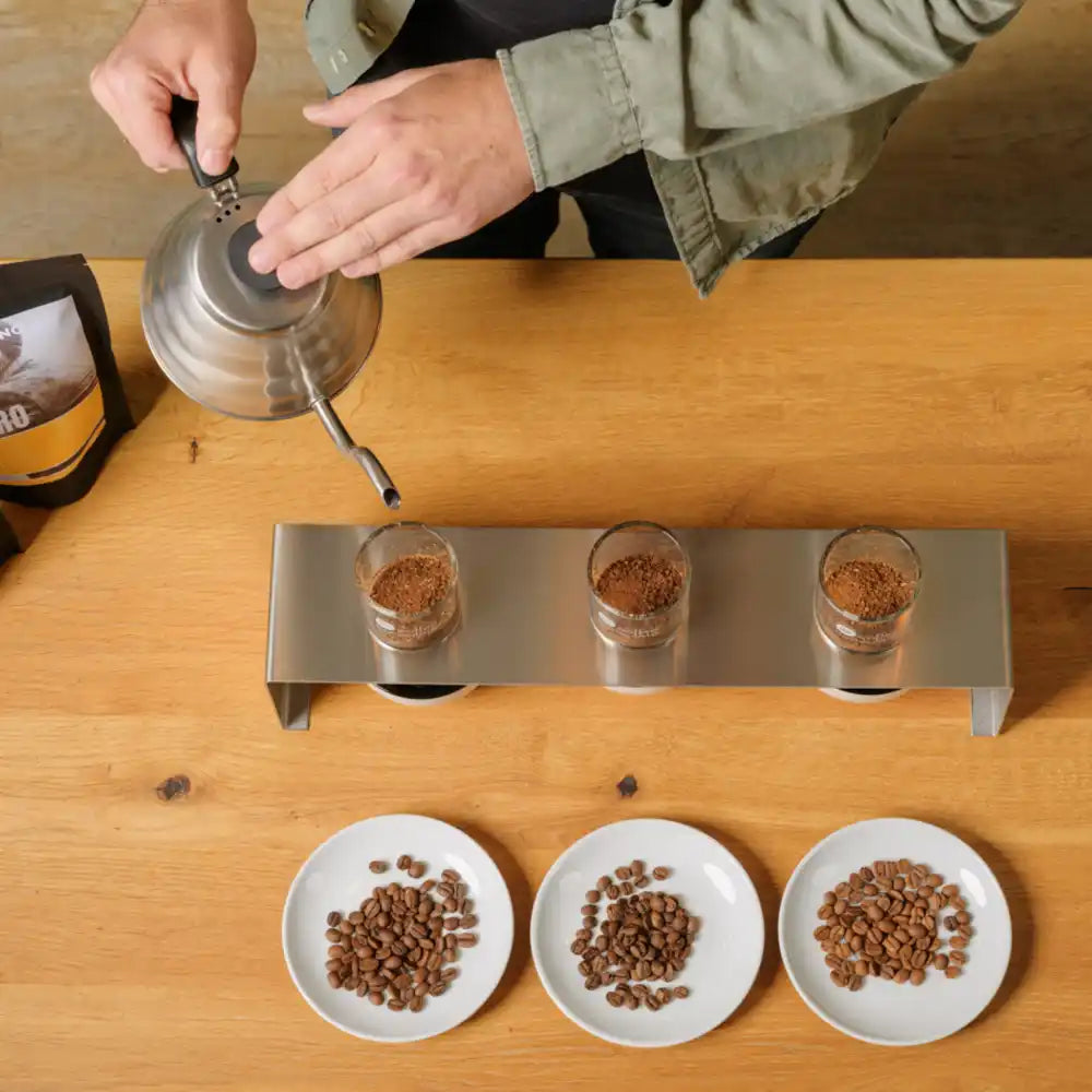 Barista Sense Kurs Basic - Sensorik Workshop