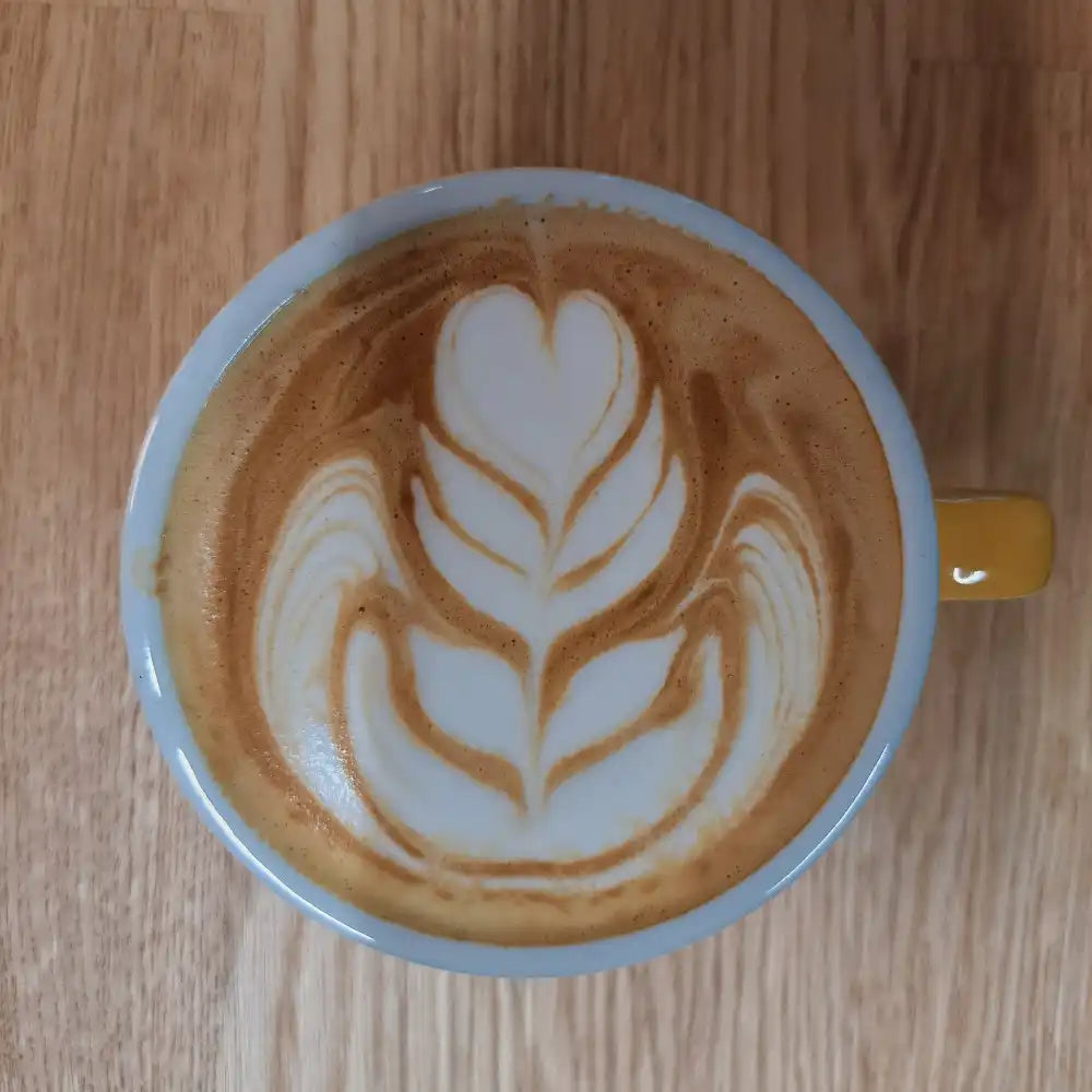 Latte Art Kurs Basic - Workshop für Einsteiger